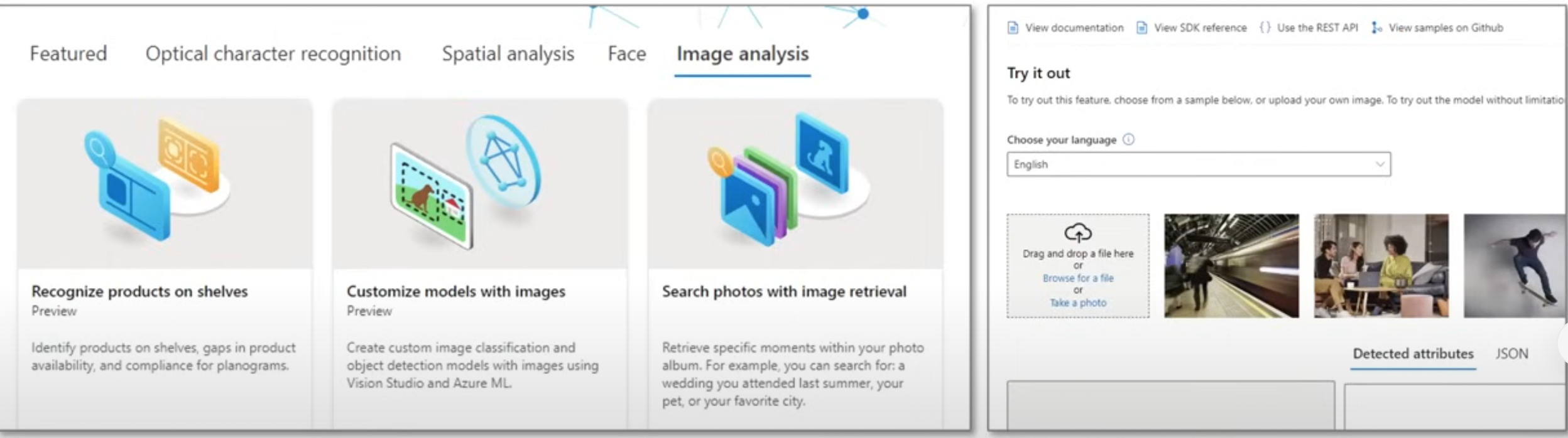 Alt Image Text