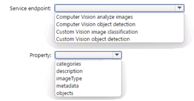 Alt Image Text